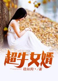 超牛女婿主角