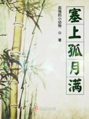 塞上孤鸿