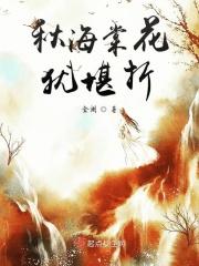 秋海棠的诗意