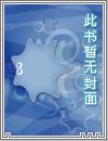 盲眼王爷红玲妃顾想思
