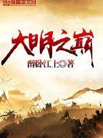 大明之纵横 大明之纵横