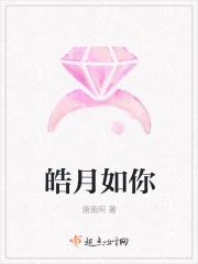 皓月皓月 皓月皓月