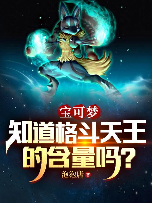 精灵宝可梦格斗系天王 精灵宝可梦格斗系天王