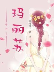 穿书玛丽苏 穿书玛丽苏