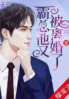 霸总他又被离婚了免费阅读无弹窗 霸总他又被离婚了免费阅读无弹窗