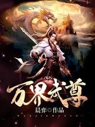 万界武尊叶枫大结局