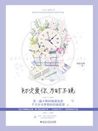 初次爱你为时不晚有电视剧吗