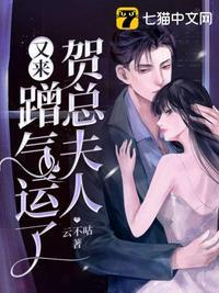 贺总夫人又来蹭气运了txt百度