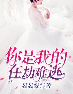 你是我的在劫难逃全集免费观看