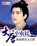大唐神医小农民 大唐神医小农民