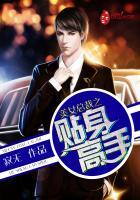 美女总裁之贴身高手女主角 美女总裁之贴身高手女主角