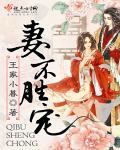 妻不如妾后面几句
