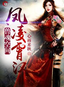 兽魂系统 兽魂系统