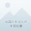 火焰焰的意思
