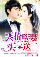 天价老婆买一赠一 天价老婆买一赠一