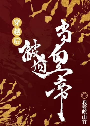 穿越后被迫登基叶天 穿越后被迫登基叶天