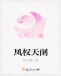 凤权天下归元免费阅读