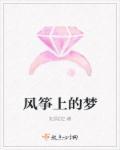 风筝上部是什么电视剧