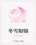 冬雪如锦的梗概和故事 冬雪如锦的梗概和故事