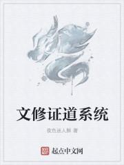 文修证道系统 夜色迷人醉 文修证道系统 夜色迷人醉