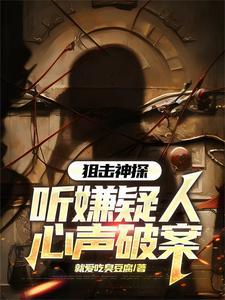 刑侦破案有声