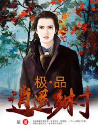 极品逍遥乡村(辰)