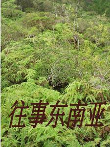 逗留在缅北的中国公民 逗留在缅北的中国公民