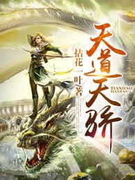 天道天骄等级划分 天道天骄等级划分