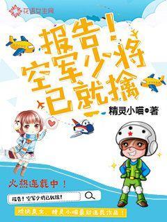 空军少将是什么职位