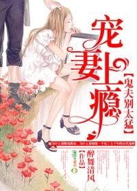 宠妻上瘾全文免费阅读