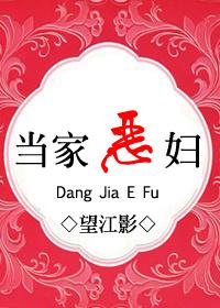 九零恶妇当家免费阅读