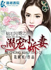 钻石闪婚之溺宠小娇妻免费读