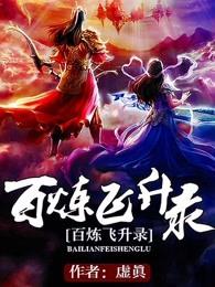 百炼飞升录境界