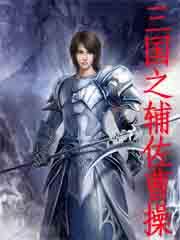 三国之辅佐曹操 武汉烟神