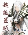超级大盗贼 超级大盗贼