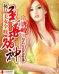 至尊赌神txt