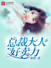 总裁大人好眼熟全文免费阅读