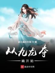 以九龙夺嫡为历史背景的