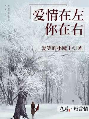 小左和小右代表的是什么爱情 小左和小右代表的是什么爱情