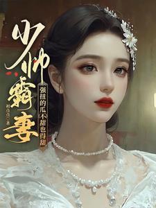 重生之少帅夫人宠上天