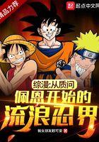 佩恩进攻木叶村是哪一集 佩恩进攻木叶村是哪一集