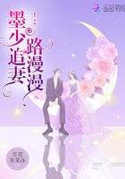 墨少追妻记