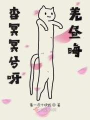 首席赘婿杜小川免费阅读无弹窗 首席赘婿杜小川免费阅读无弹窗