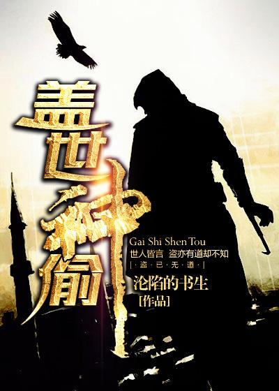 盖世神偷 盖世神偷