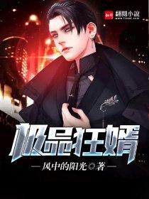 极品狂婿 极品狂婿