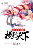 高冷殿下全能妃:横行天下 高冷殿下全能妃:横行天下