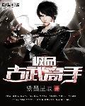 极品古武高手 极品古武高手