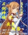 刀剑神域之夜色刺客 刀剑神域之夜色刺客