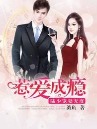 惹爱成瘾:陆少宠妻无度 惹爱成瘾:陆少宠妻无度