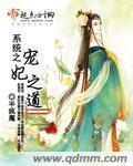 系统之宠妃之道 系统之宠妃之道